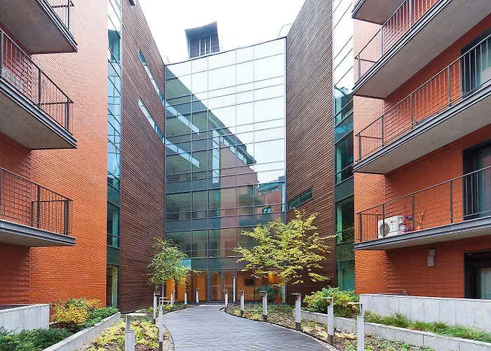 Angel City, Sun & Snow *